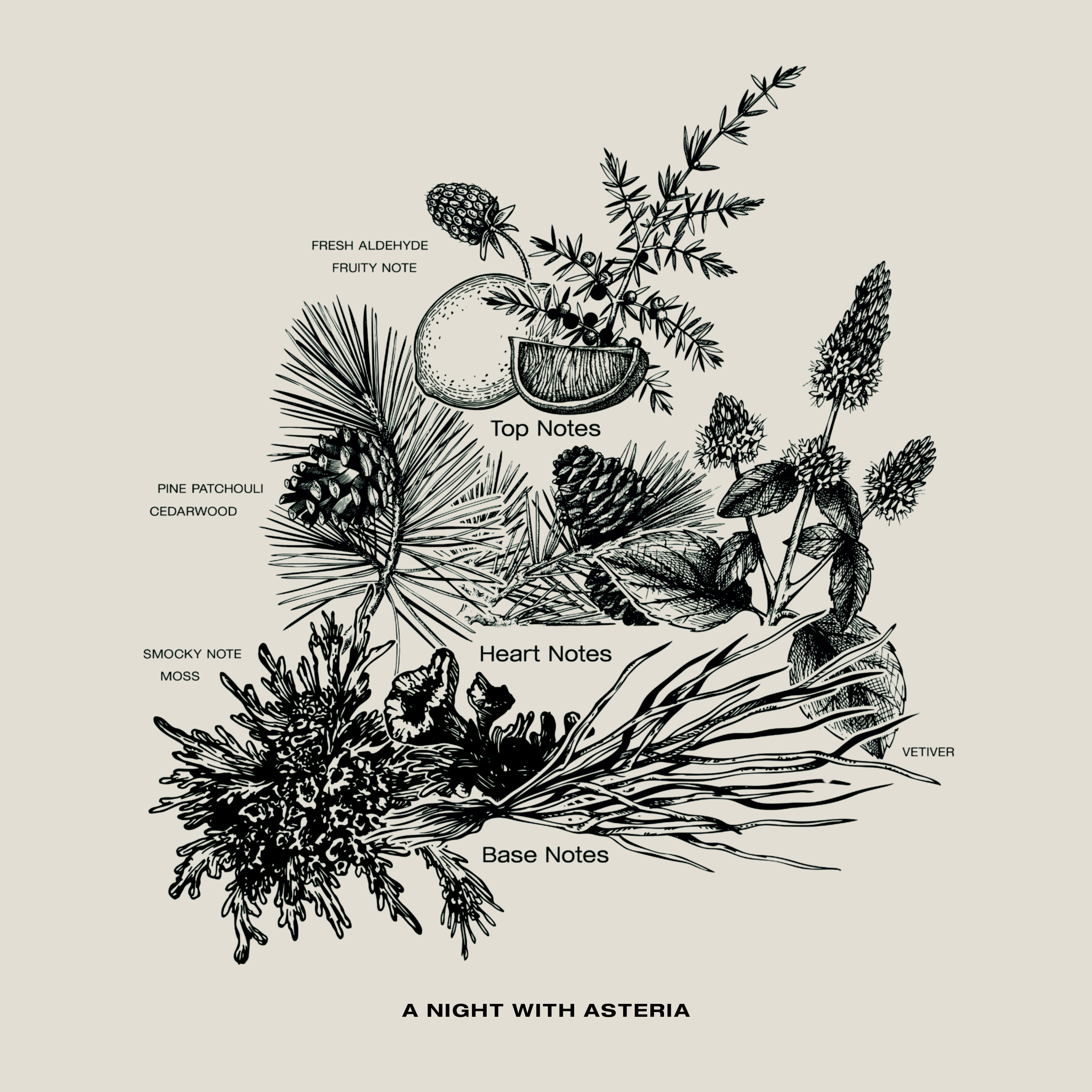 SOPHIA MAE's A Night With Asteria candle brings the magic of winter wishes to life with a rich, soothing scent blend.