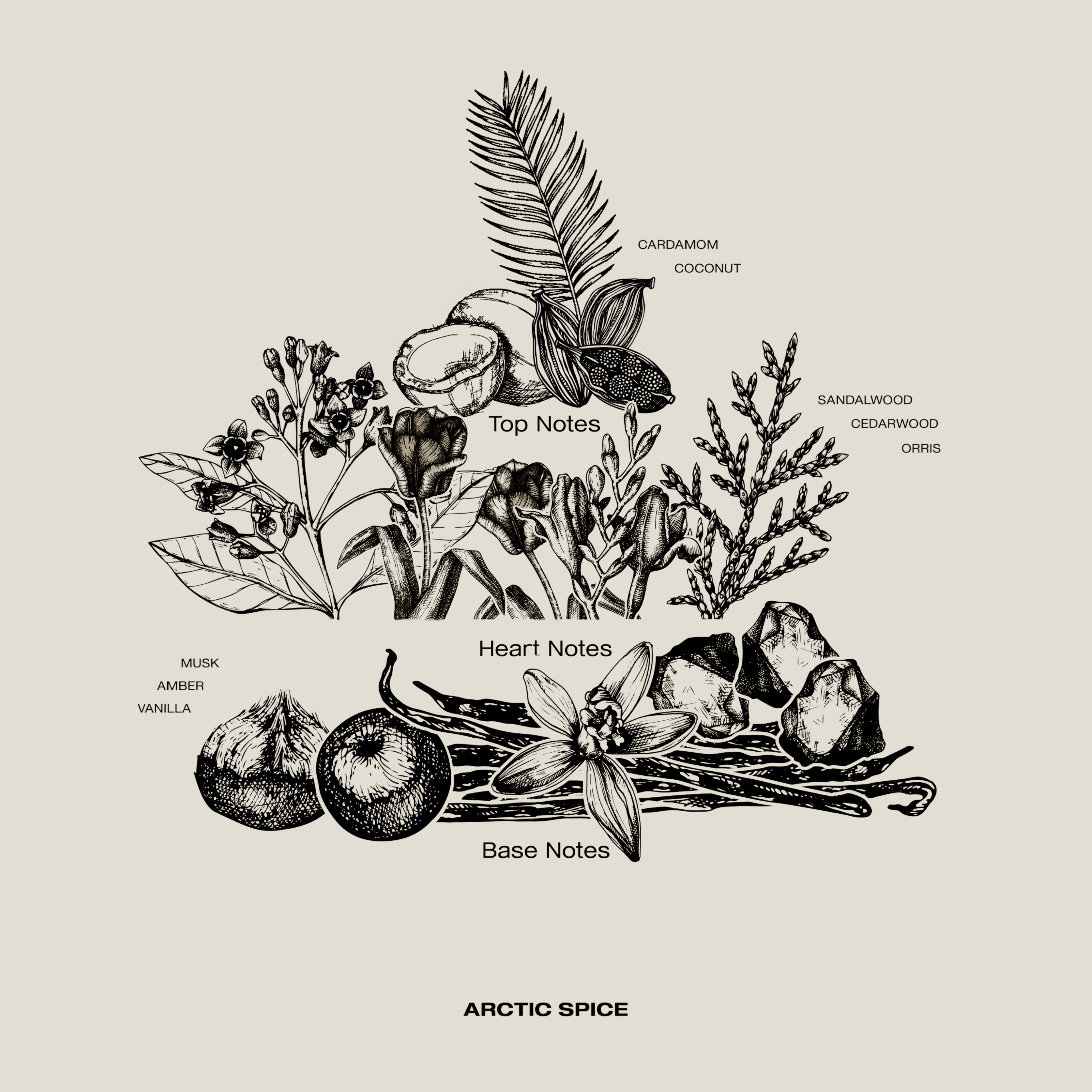 Exclusive Arctic Spice perfume – warm and spicy scent with soft notes of vanilla and musk, available while stock lasts.