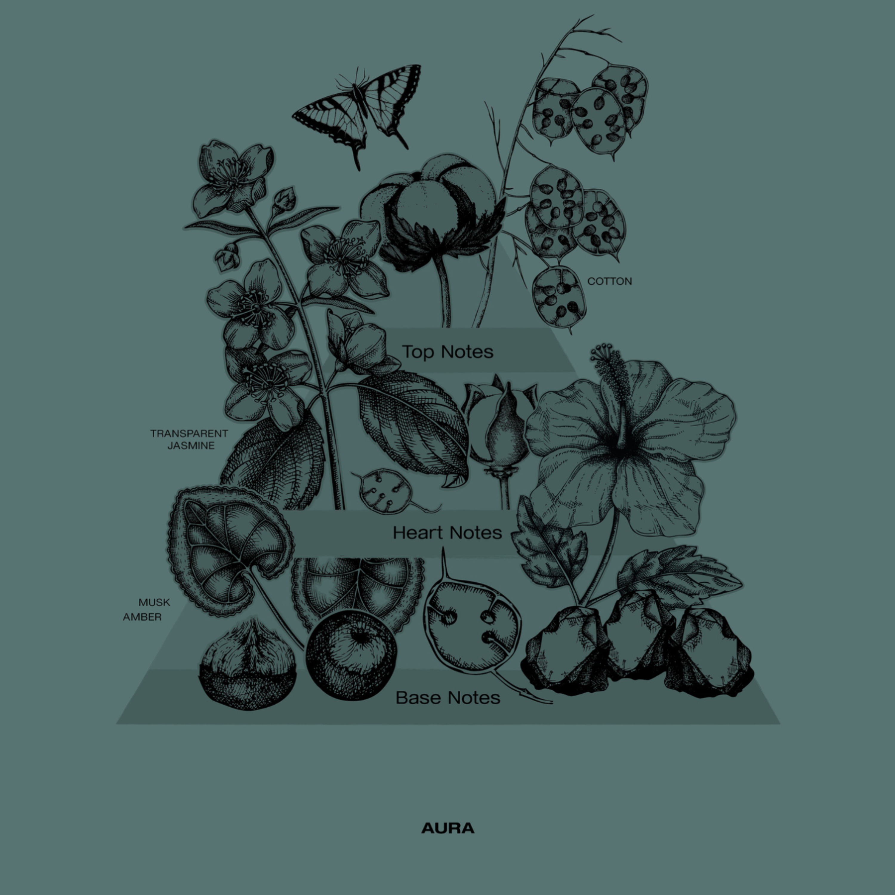 AURA EAU DE PARFUM | SOPHIA MAE by Monica Geuze