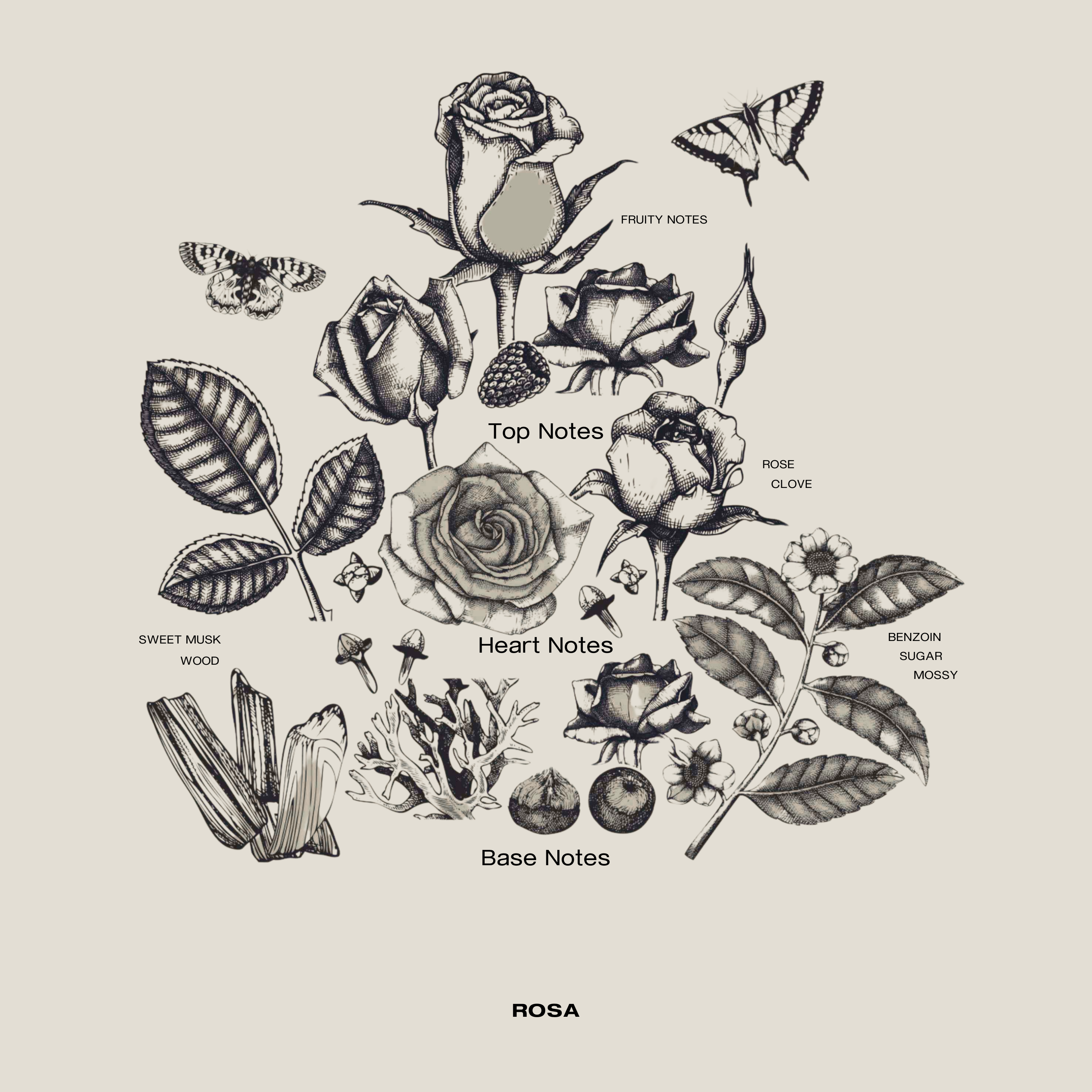 Luxury rose-scented candle with delicate fruity accents – Rosa creates a blissful, immersive floral experience in any space.