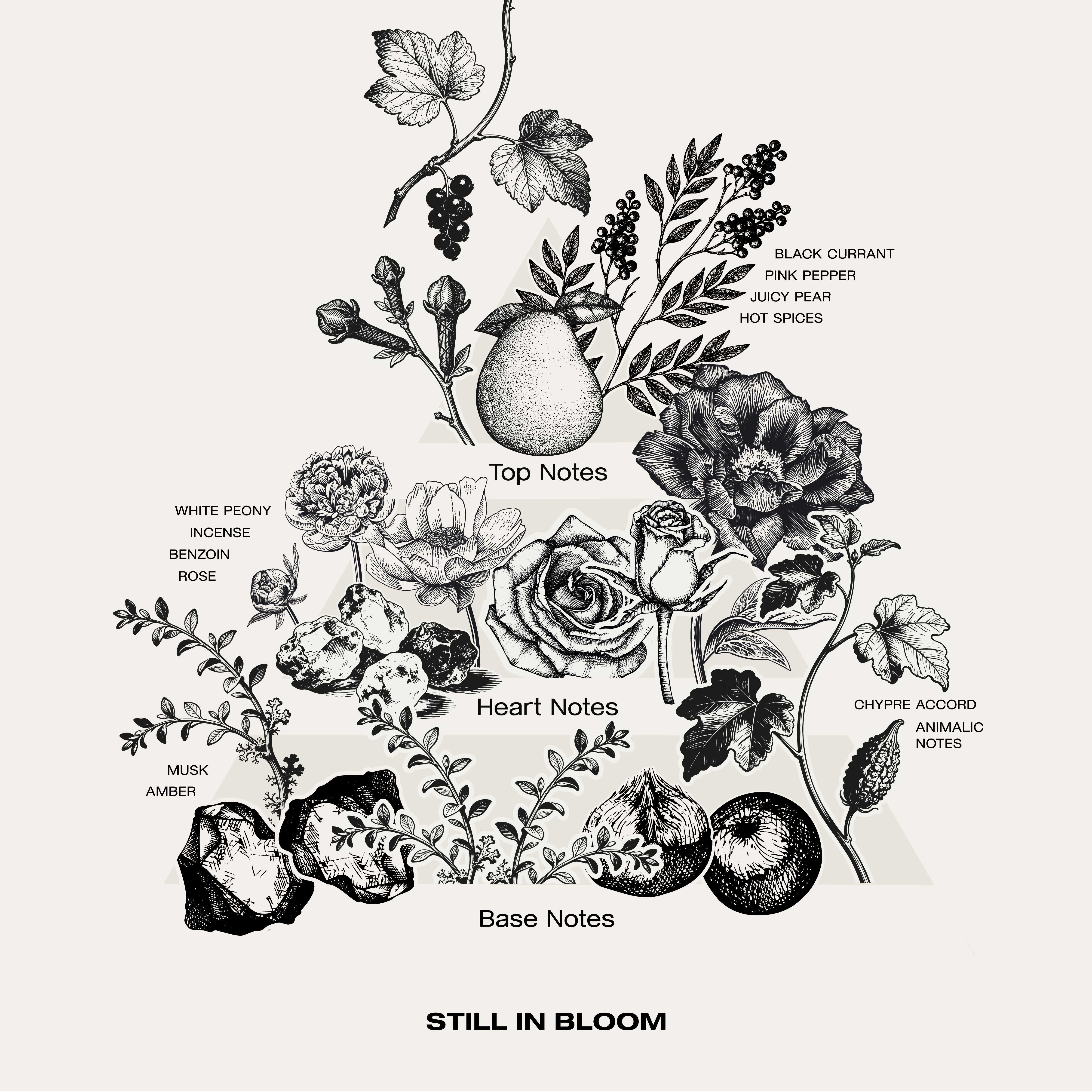 Still in Bloom eau de parfum fragrance notes.