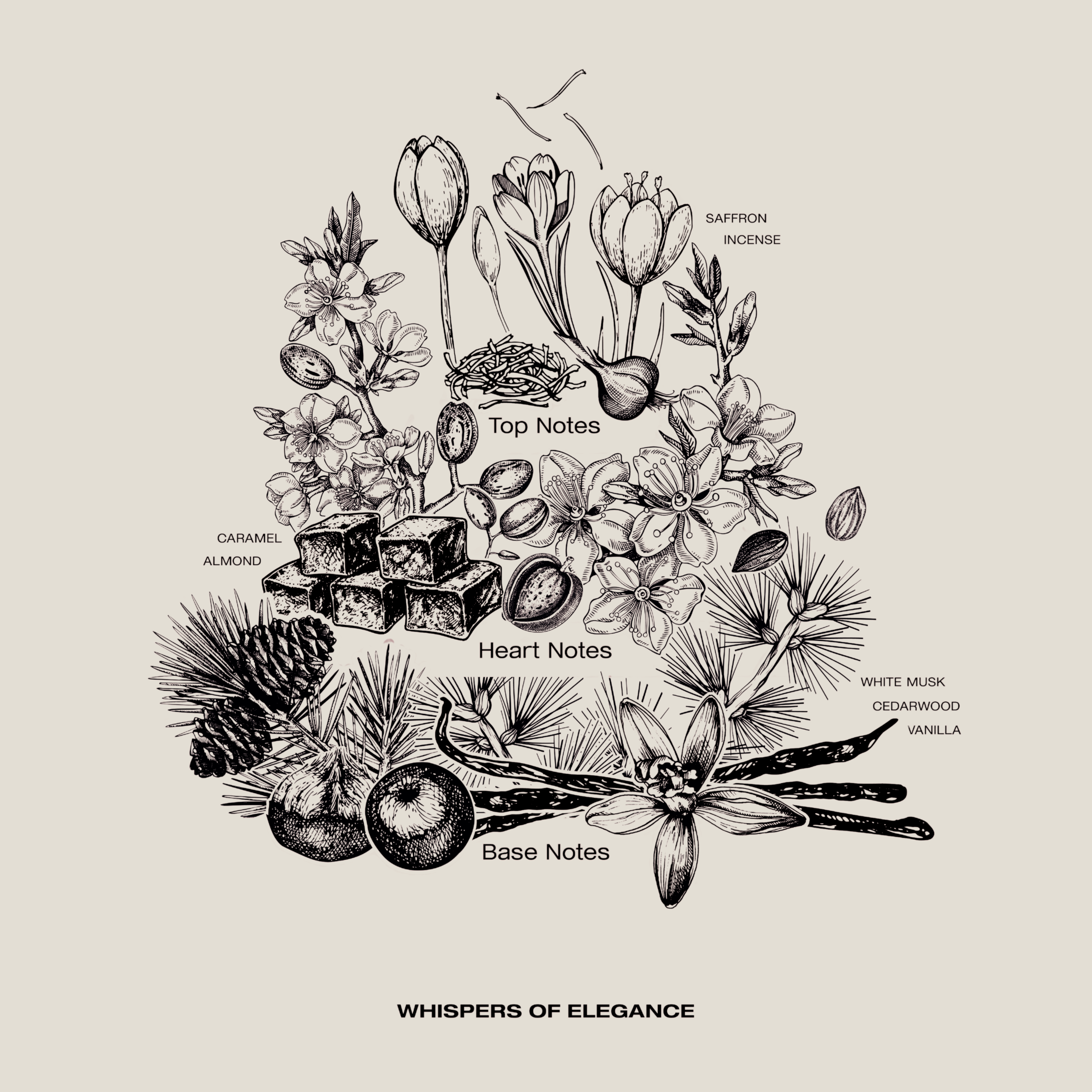 Whispers of Elegance 2 ml sample – refined, seductive scent with cedarwood, caramel, and saffron.