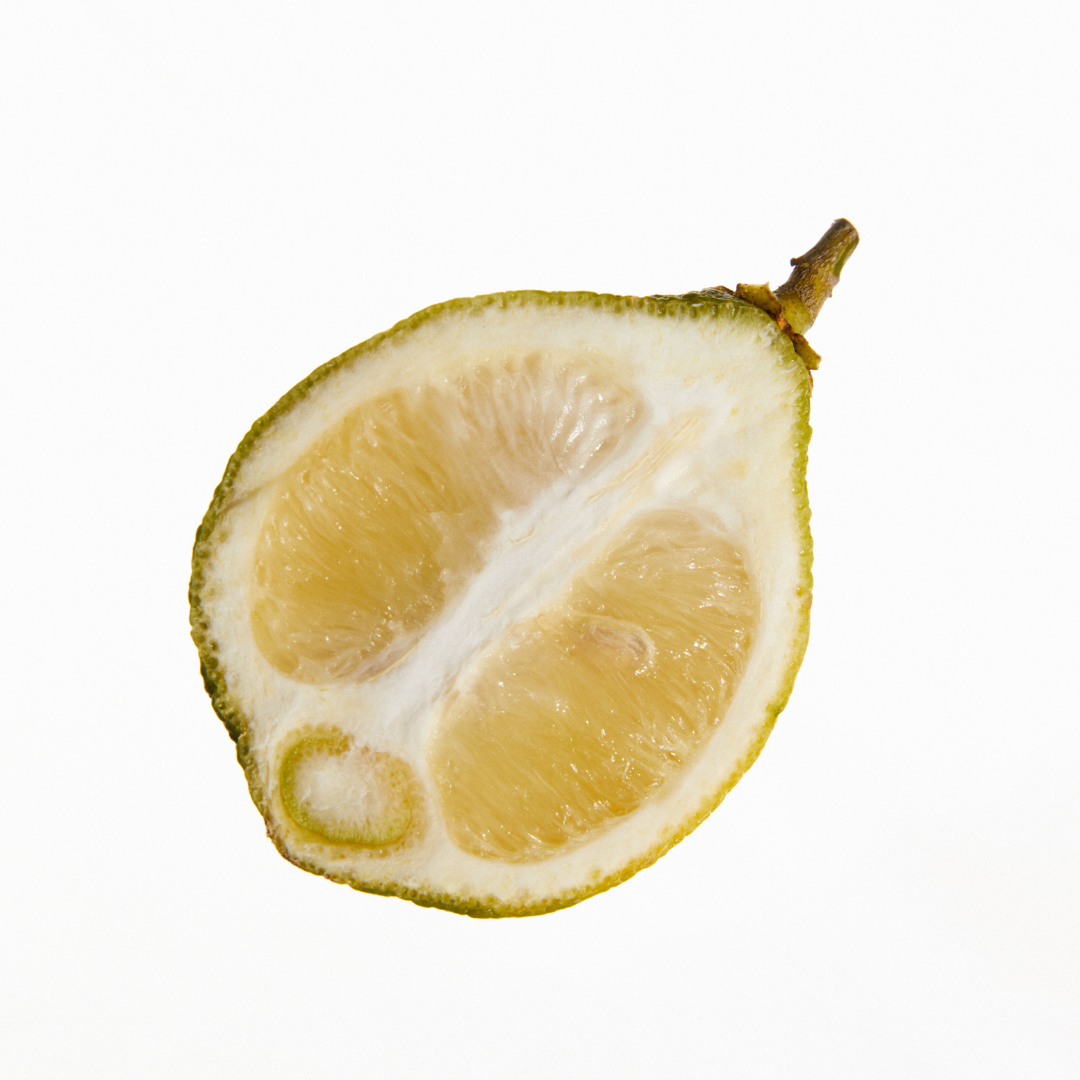 SOPHIA MAE perfume sample – sparkling mandarin and bergamot with floral and musky notes, available as an exclusive limited-time gift.