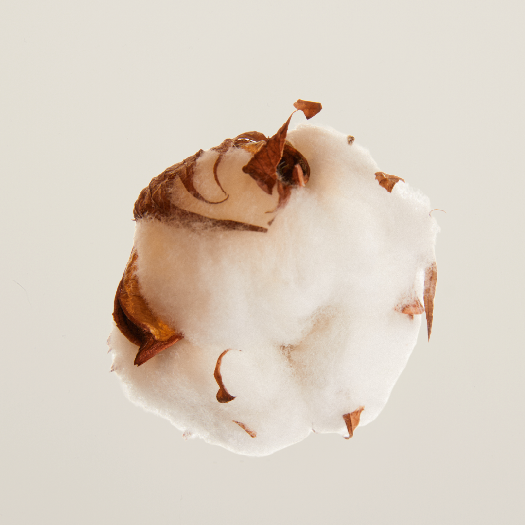 Signature scent Aura in gift size – timeless and warm eau de parfum with jasmine, soft spice, and musky depth.