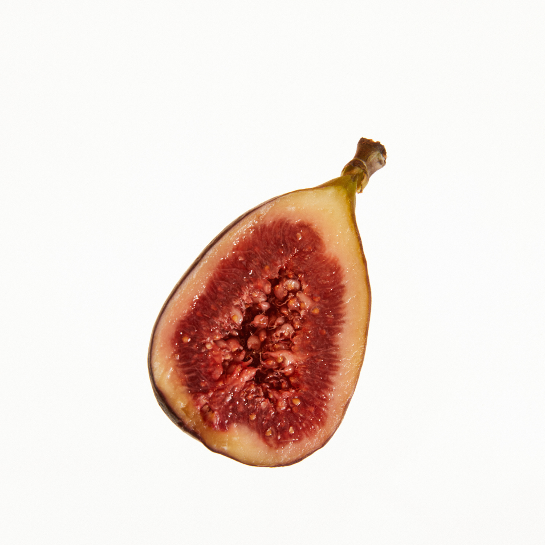 Limited edition Grounded Gaia scented candle with fig, coconut, amber, and pine – a luxury candle that creates a serene and calming home ambiance.