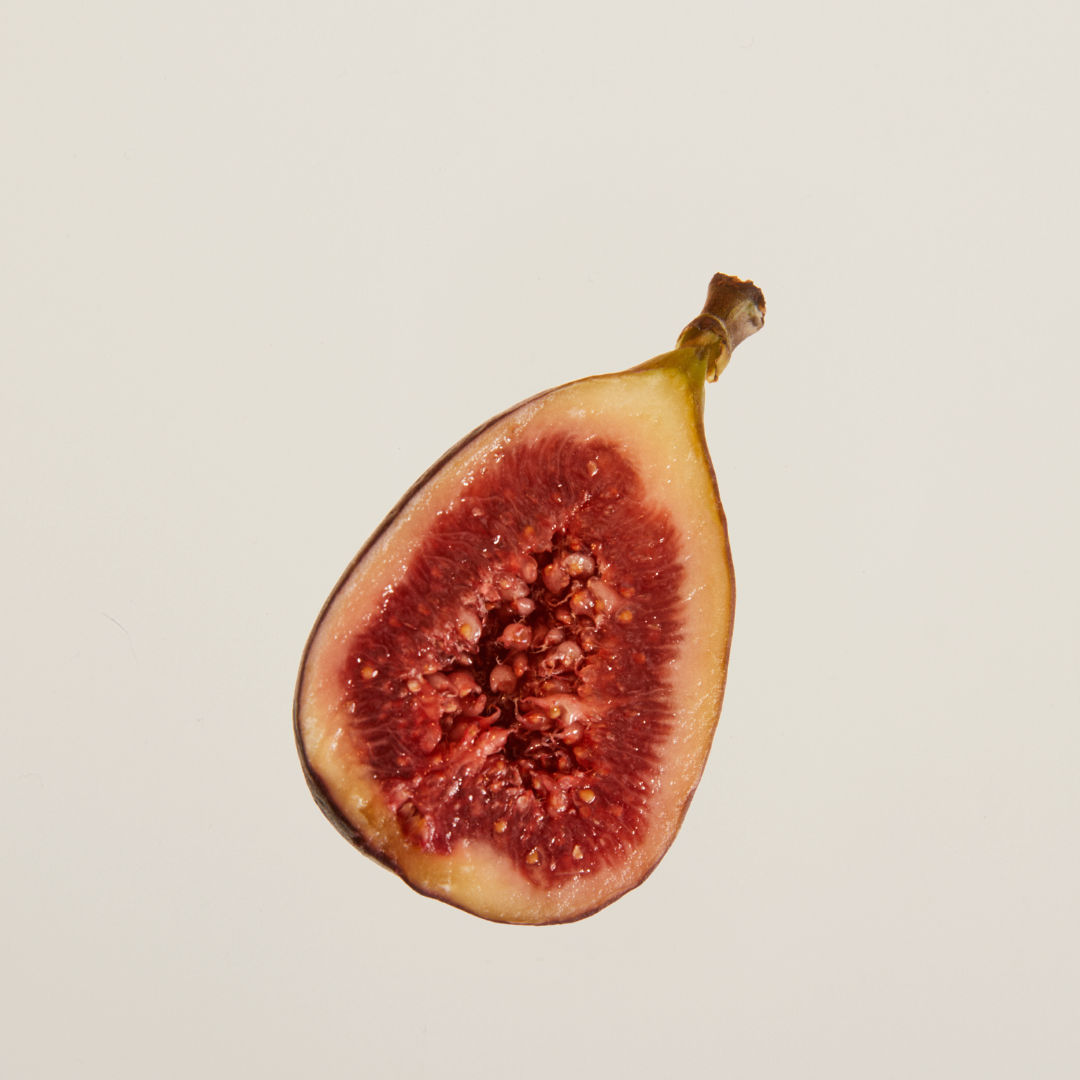Limited edition Grounded Gaia scented candle with fig, coconut, amber, and pine – a luxury candle that creates a serene and calming home ambiance.