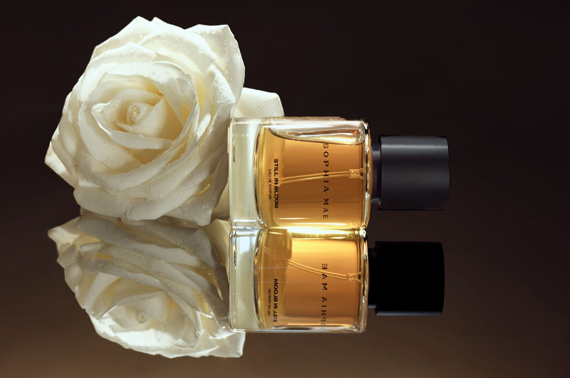 SOPHIA MAE Still in Bloom perfume bottle with a white rose and elegant reflection.