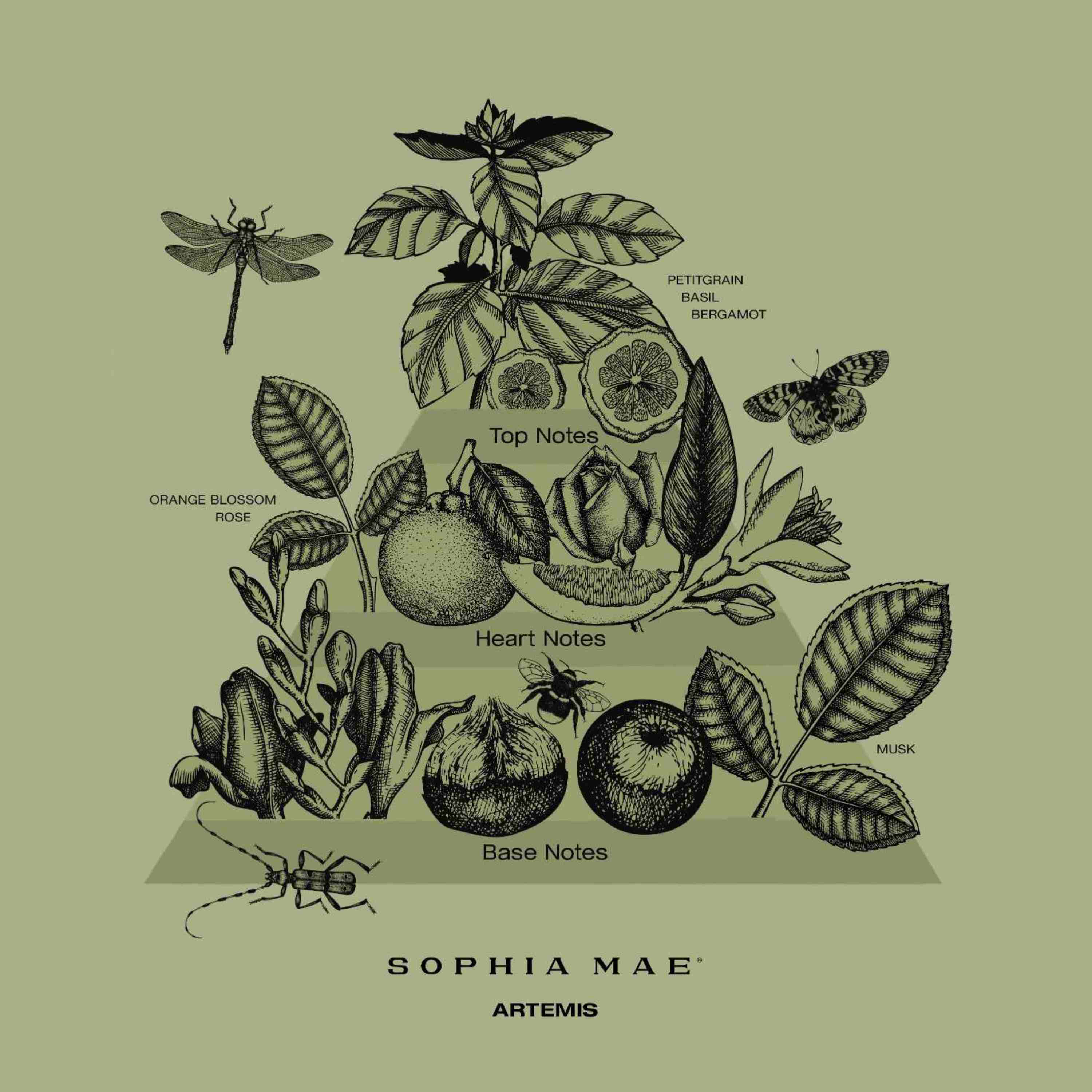 REFRESHING HOME BUNDLE | SOPHIA MAE by Monica Geuze
