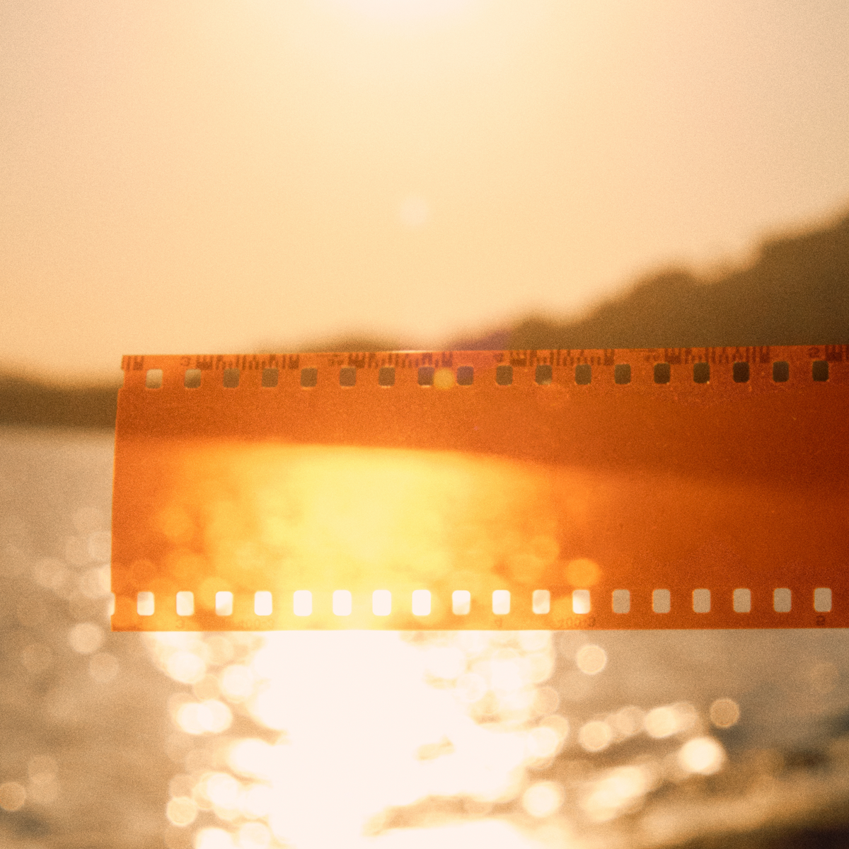 A strip of camera film film held up against a warm, sunlit water reflection, capturing de feeling of SOPHIA MAE's Body & Hair elixir.