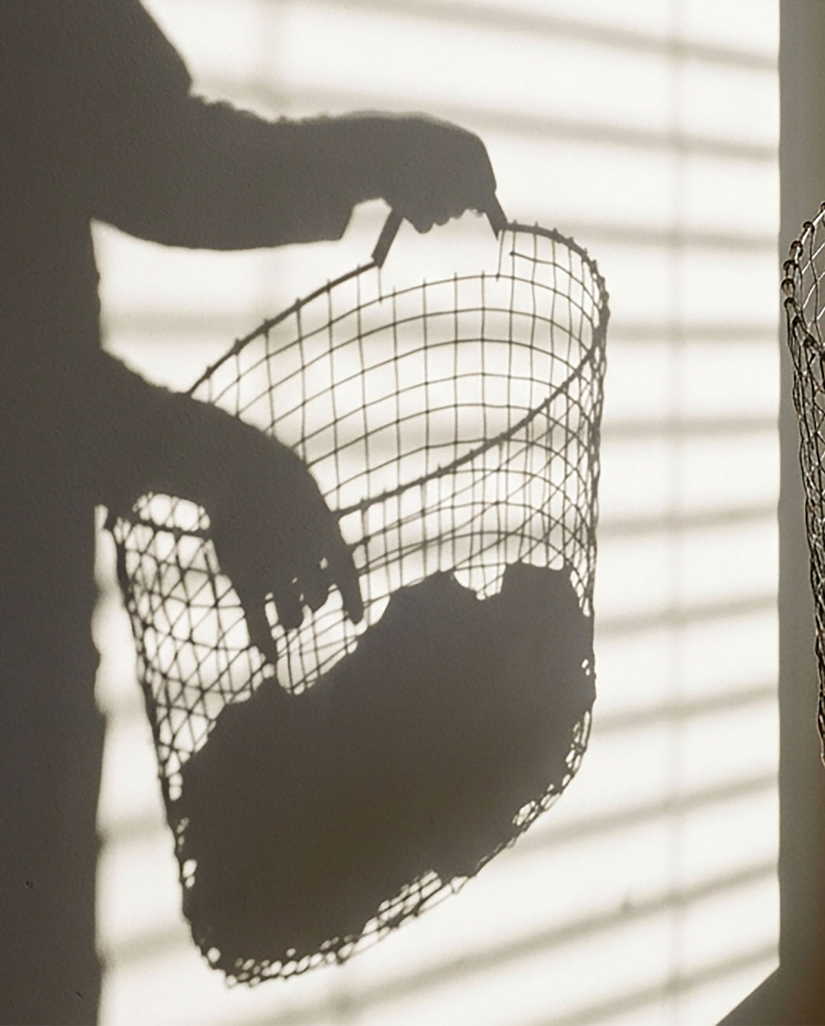 Shadow on a wall of a person holding a wire laundry basket in warm sunlight.