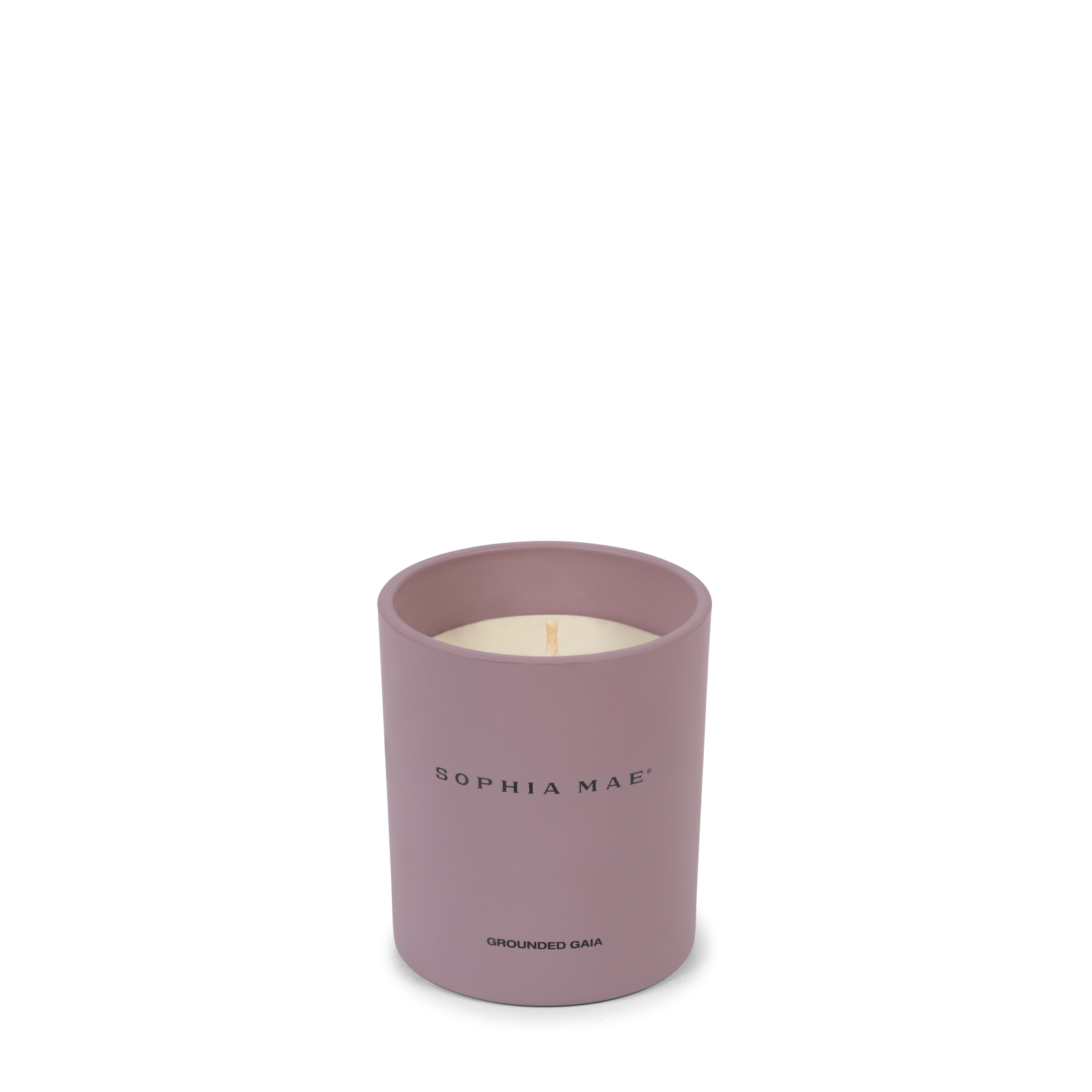 Luxury scented candle for relaxation with the fragrance of fig, amber, coconut and pine