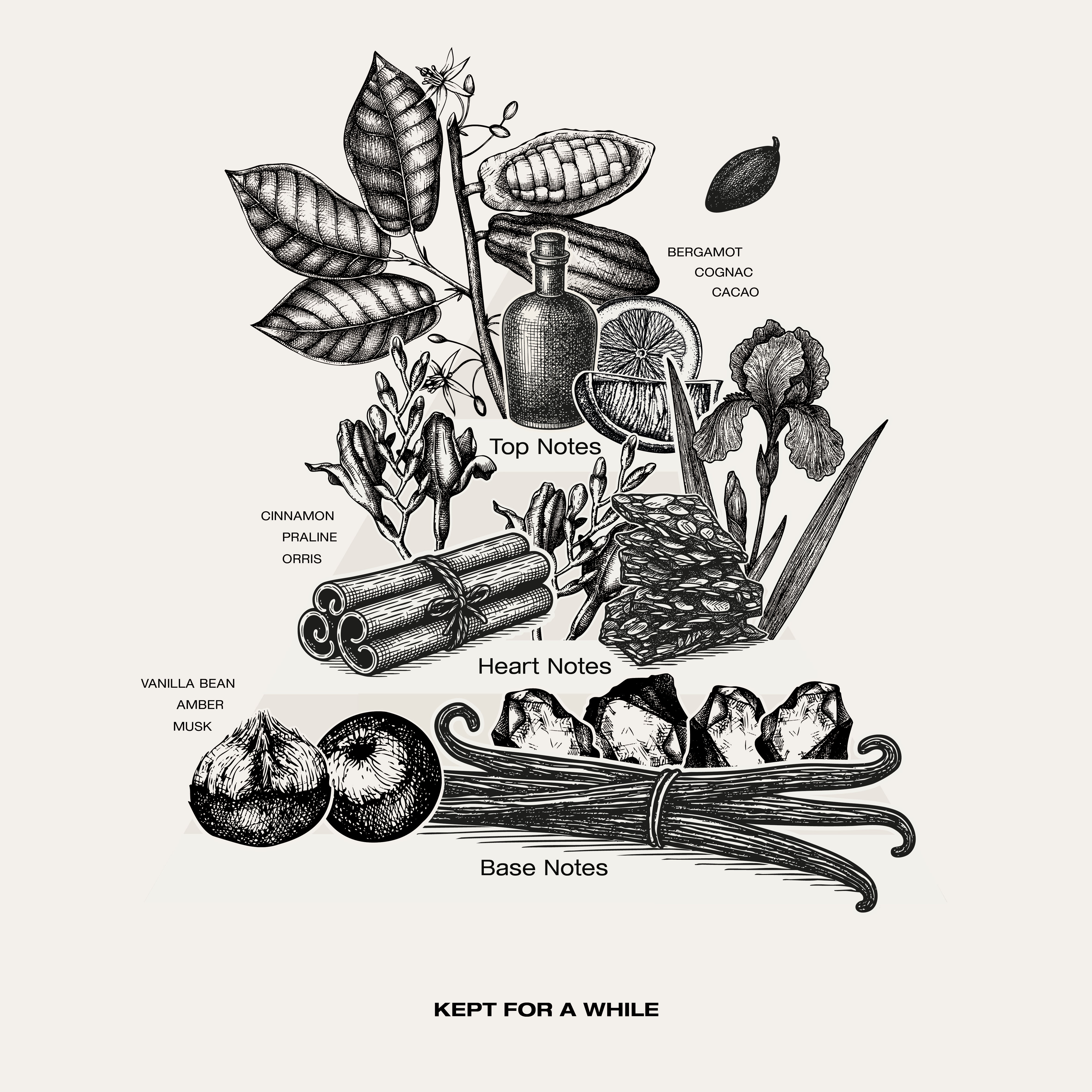 Winter fragrance SOPHIA MAE.