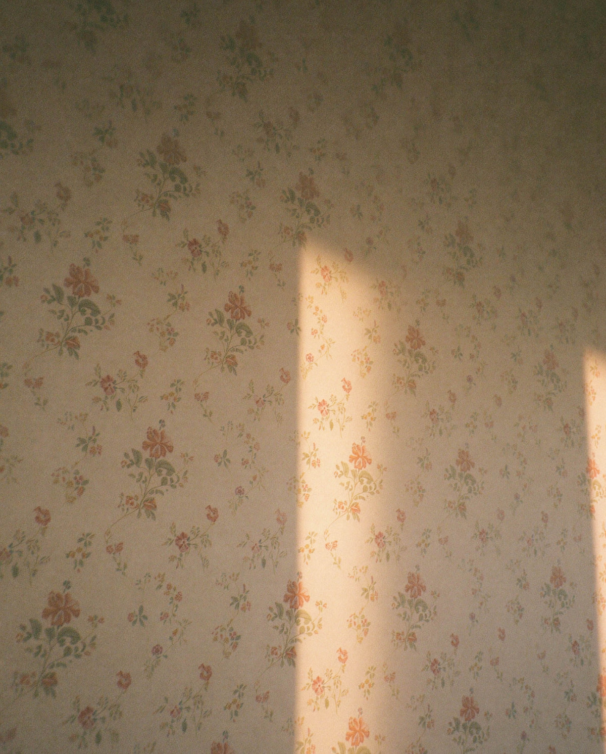 Soft sunlight falling across vintage floral wallpaper, creating a warm, nostalgic mood for SOPHIA MAE Kept For A While.