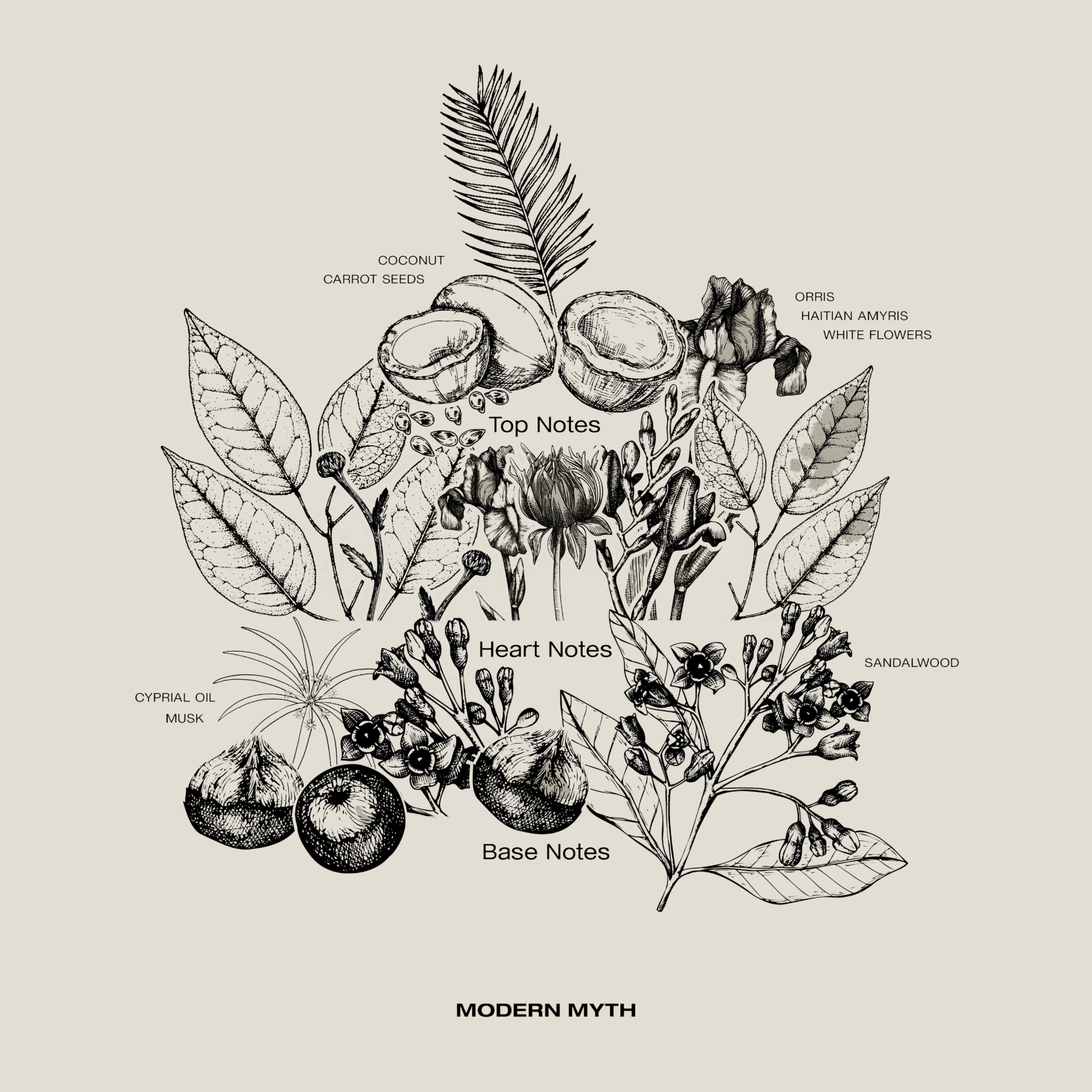 Modern Myth sample – fresh, long-lasting eau de parfum with floral top notes and a rich musky base, designed to suit every individual.