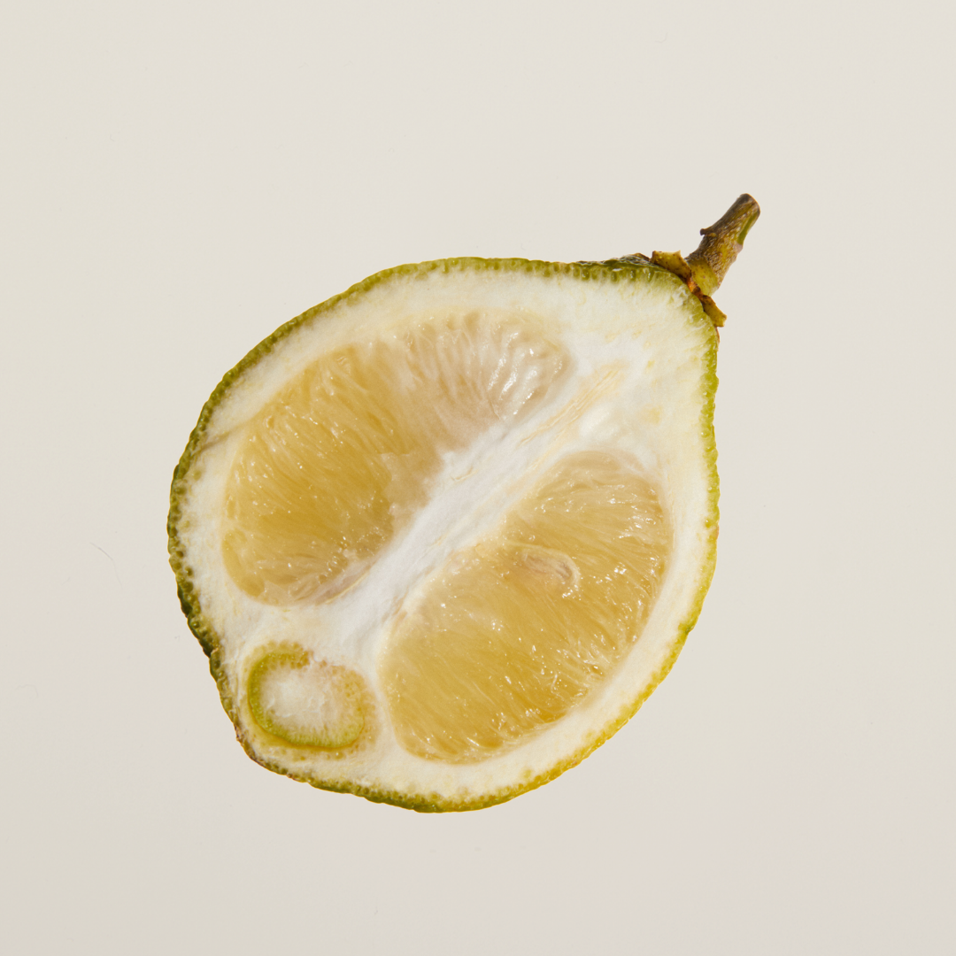Limited Golden Mirage perfume sample – uplifting blend of bergamot, orange blossom, and patchouli in a sunlit citrus fragrance for summer.