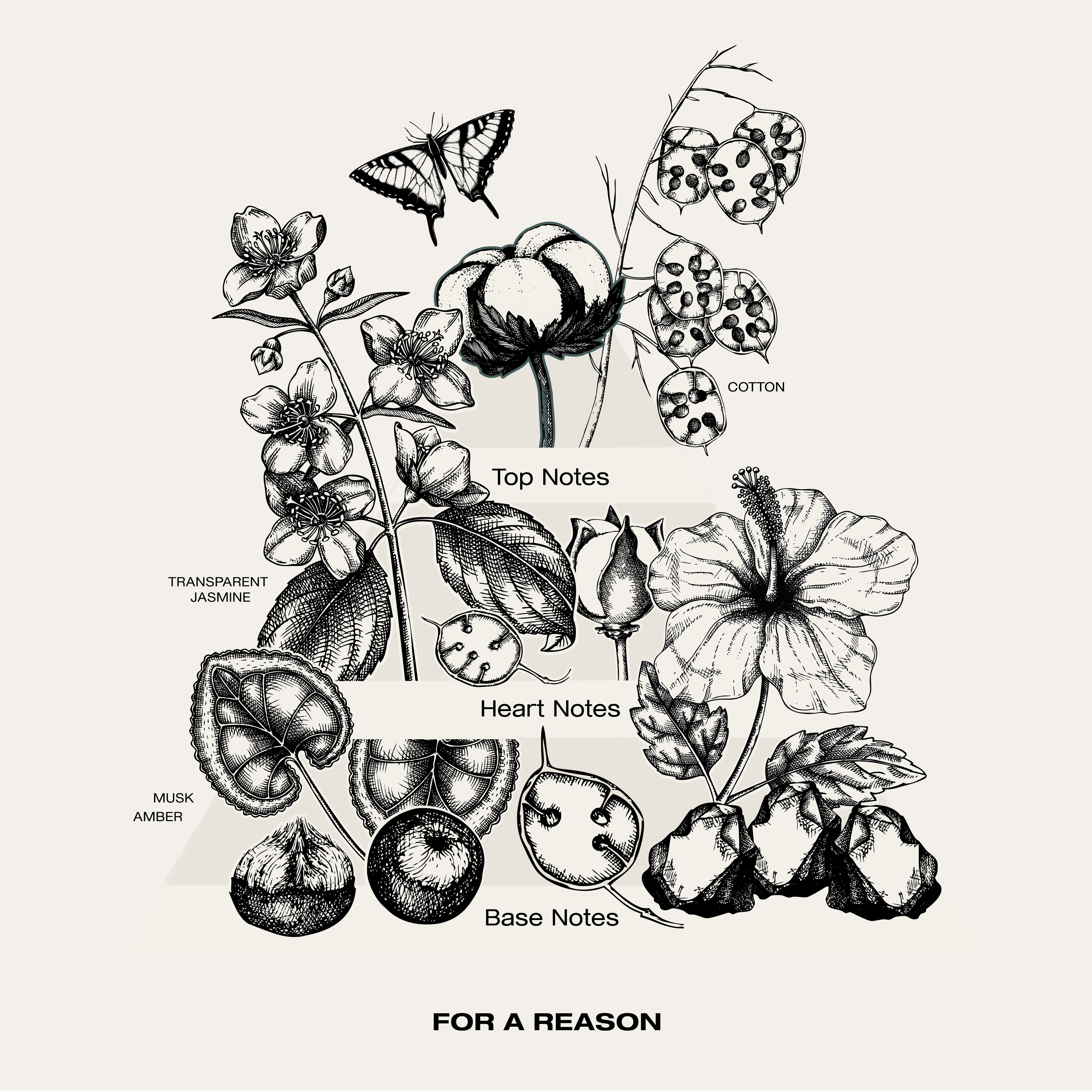 For a Reason eau de parfum fragrance notes.